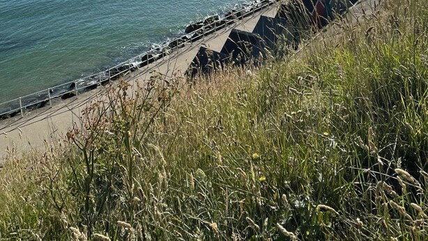 Blick auf die Küste mit blauem Himmel, ruhiger See und einem steinernen Wellenbrecher.