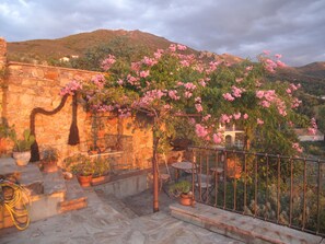 Property grounds - Character house 120m2, 3 ***, Grand Site de France, 2 panoramic terraces (Patrimonio)