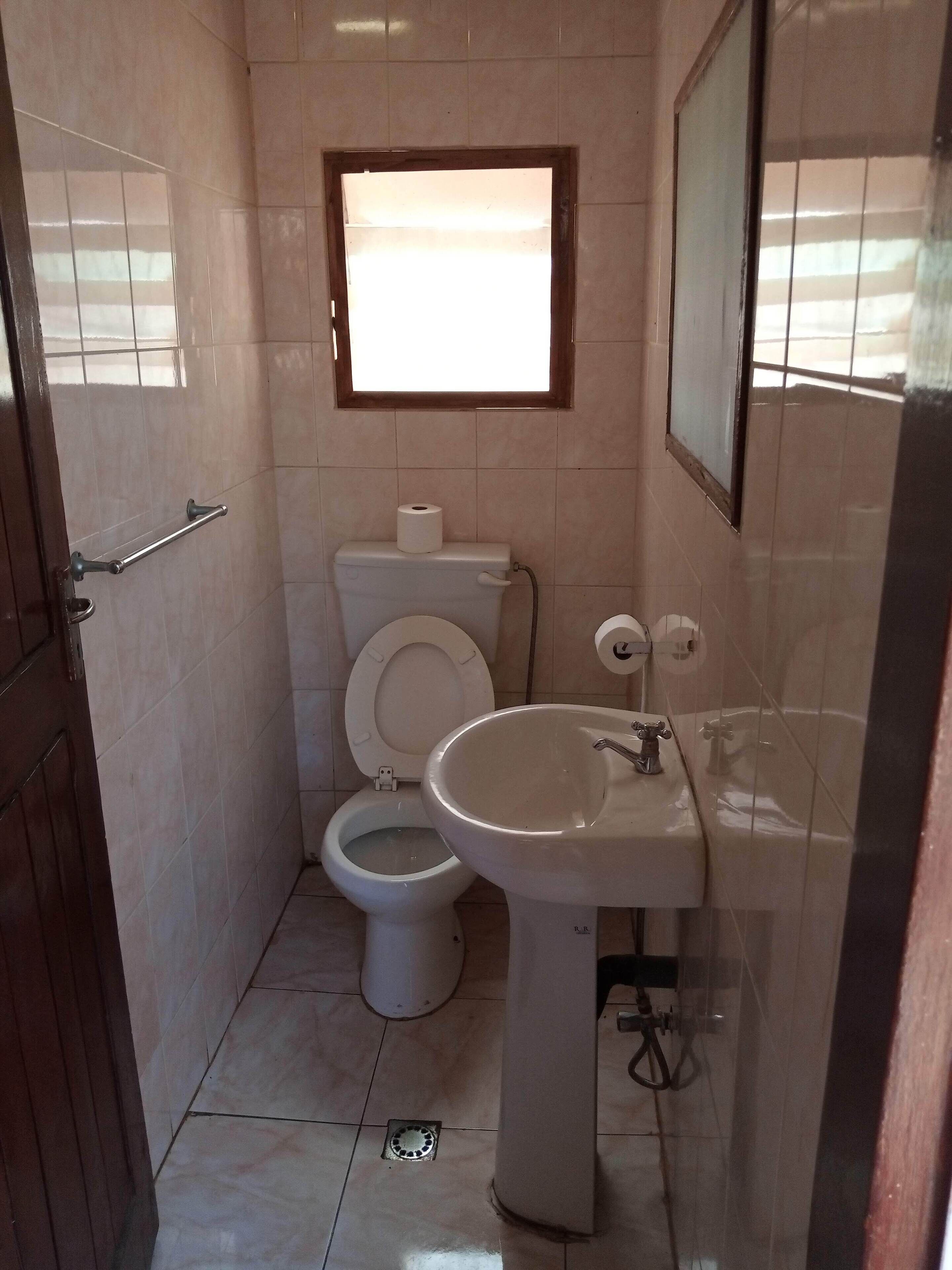 Shower, hair dryer, towels, toilet paper