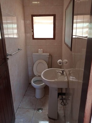 Shower, hair dryer, towels, toilet paper