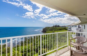 Property grounds - Cheerful, Classic Hawaiian Retreat w/ Incredible Views & Updated Kitchen/Bath (Princeville)