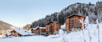 เอ็มจีเอ็ม โอแตลส์ แอนด์ เรซิเดนซ์ – เรซิเดนซ์ ชาเล่ต์ ลาสก้า