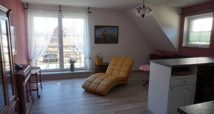 Altstadt-Insel Ferienwohnung mit Kajak Verleih