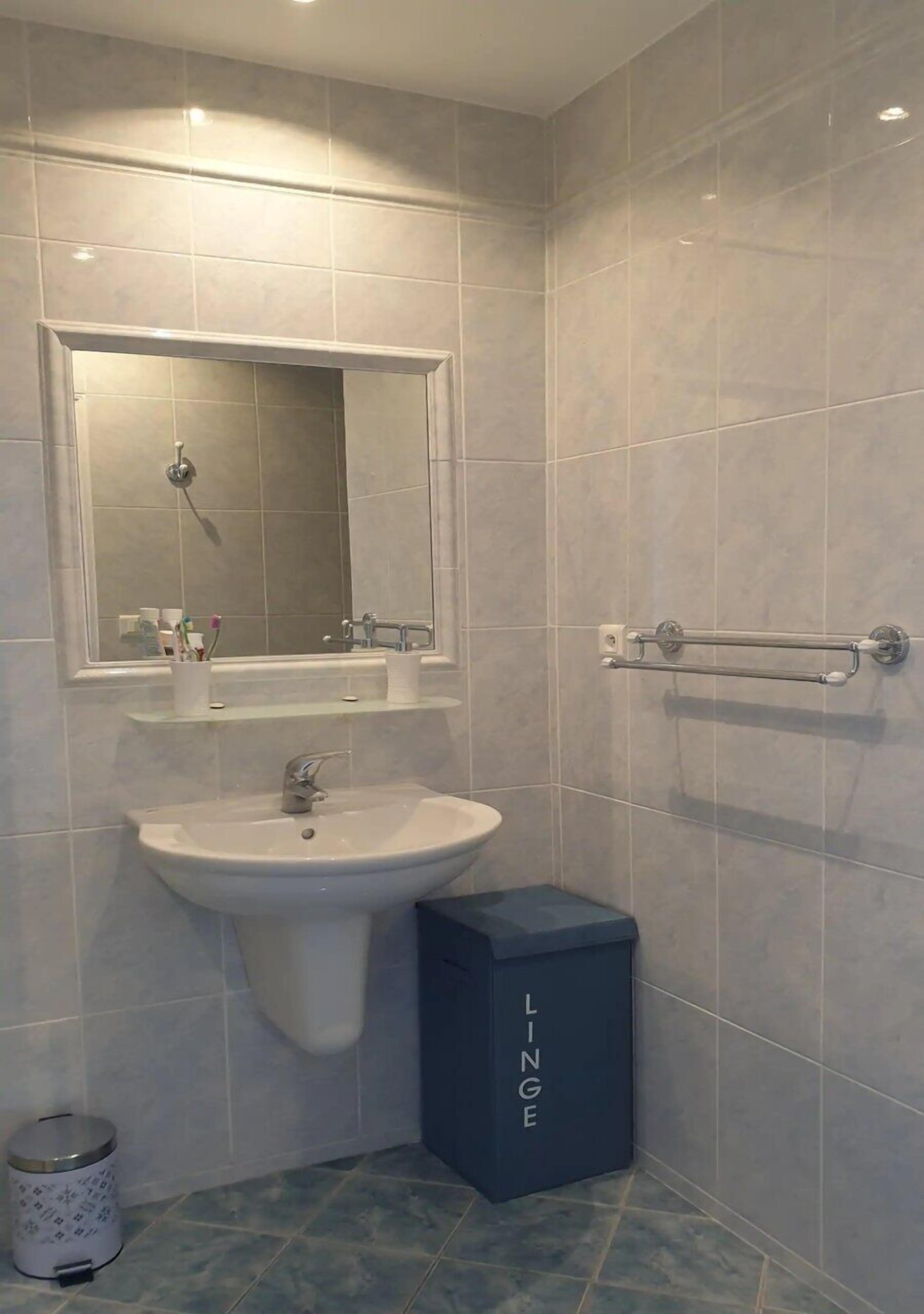A bathroom with a sink, mirror, and handrail.