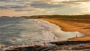 A beach with rocky foreground, a sandy shore, and a forested hill in the background. - Wiggleswick Cottage; Dogs Welcome Certified! 9/17-9/19 available! (Georgetown)