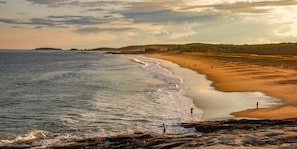 Playa