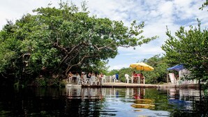 Un cadre agréable au bord de la rivière, avec des personnes assises sur des chaises sous des parasols, entourées d’une végétation luxuriante.