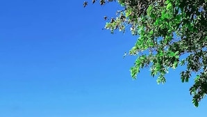 Une plage où l’on voit des gens se promener et nager, un ciel dégagé et des collines à l’horizon.