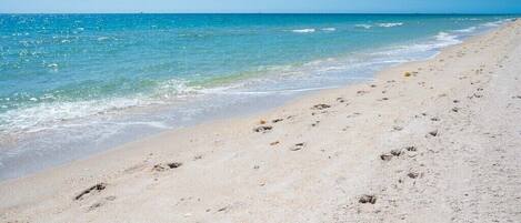 Una spiaggia nelle vicinanze
