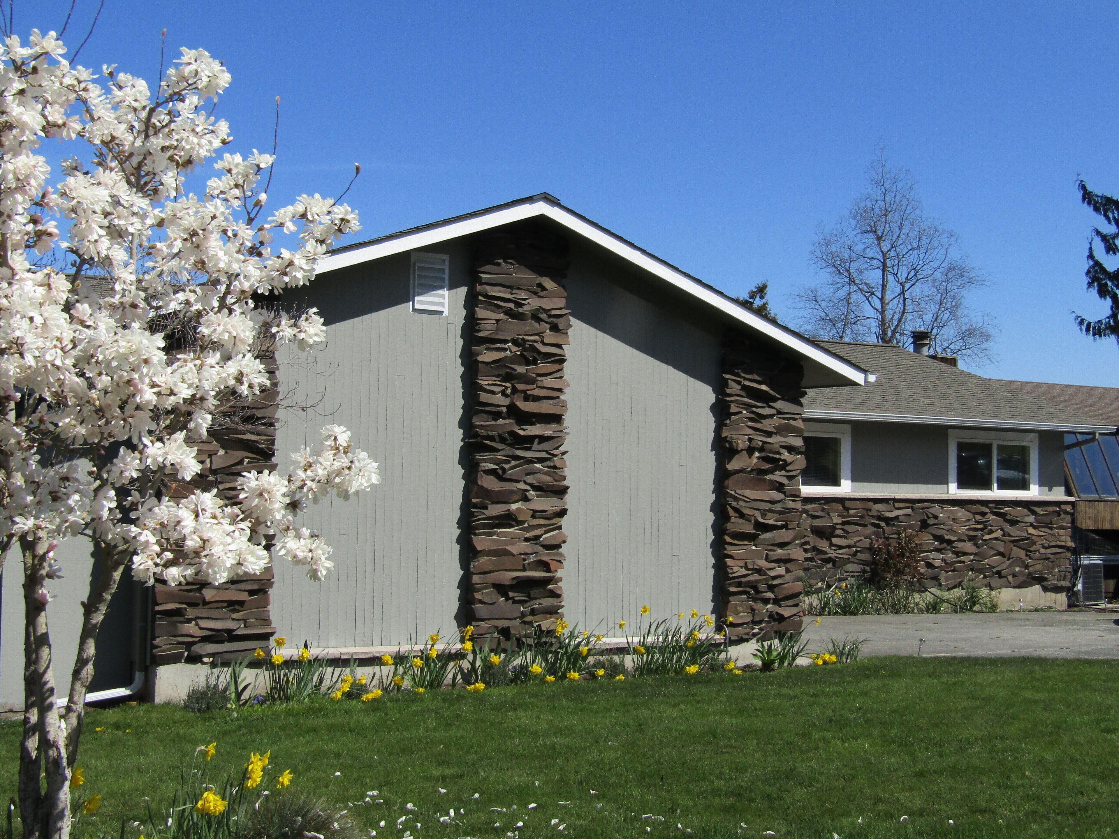 Une maison avec une façade en pierre, un toit en pente et un jardin où poussent des jonquilles et un arbre en fleurs.