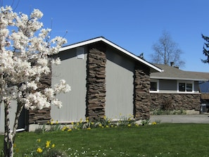 A house with a stone facade, a sloped roof, and a garden with daffodils and a flowering tree.