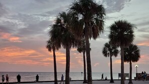 A beach with palm trees and people walking along the shore. - "Shore Fun, Bare Feet Retreat" (Spring Hill)