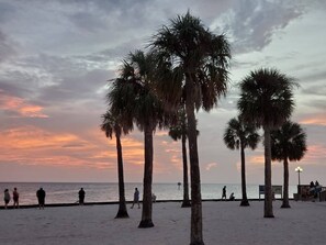 Beach - "Shore Fun, Bare Feet Retreat" (Spring Hill)