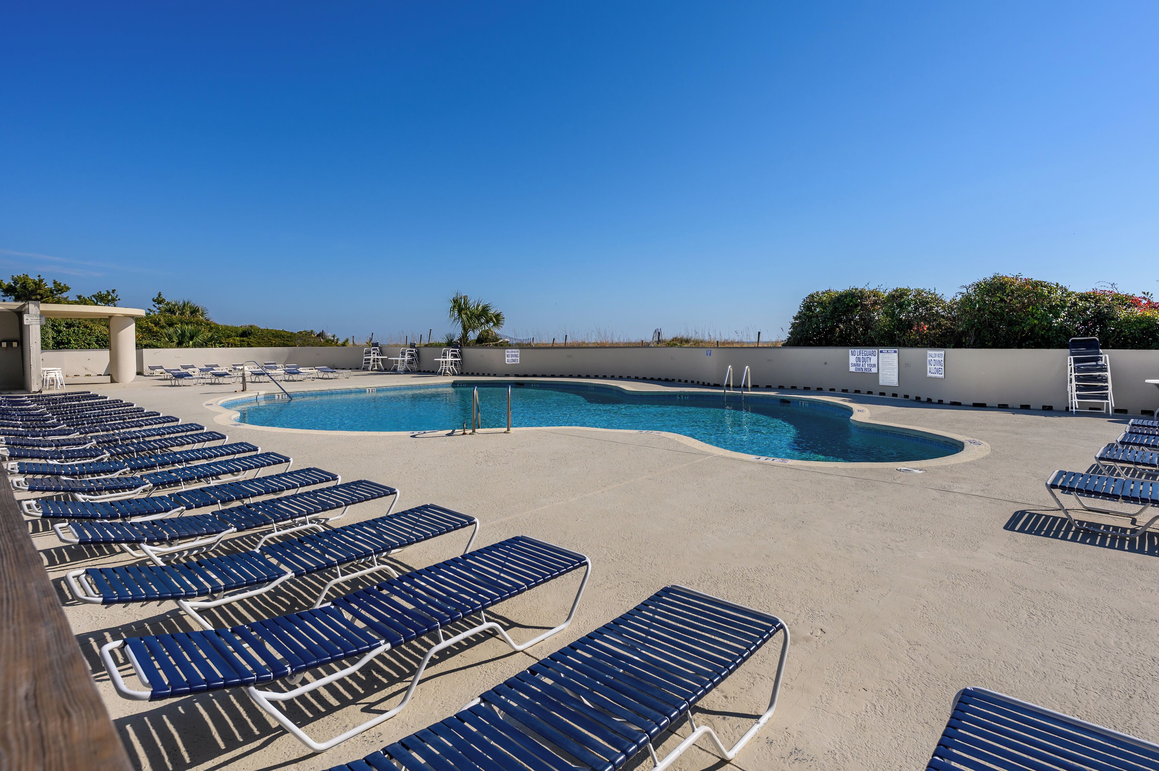 A pool area with blue lounge chairs arranged around a curved pool.