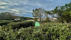 Un jardín ajardinado con setos perfectamente cuidados, diversidad de árboles y un cielo despejado.