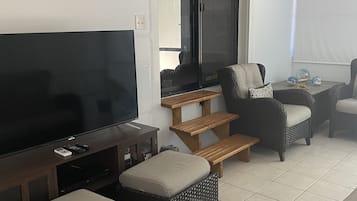 TV connectée, cheminée, lecteur de DVD, livres