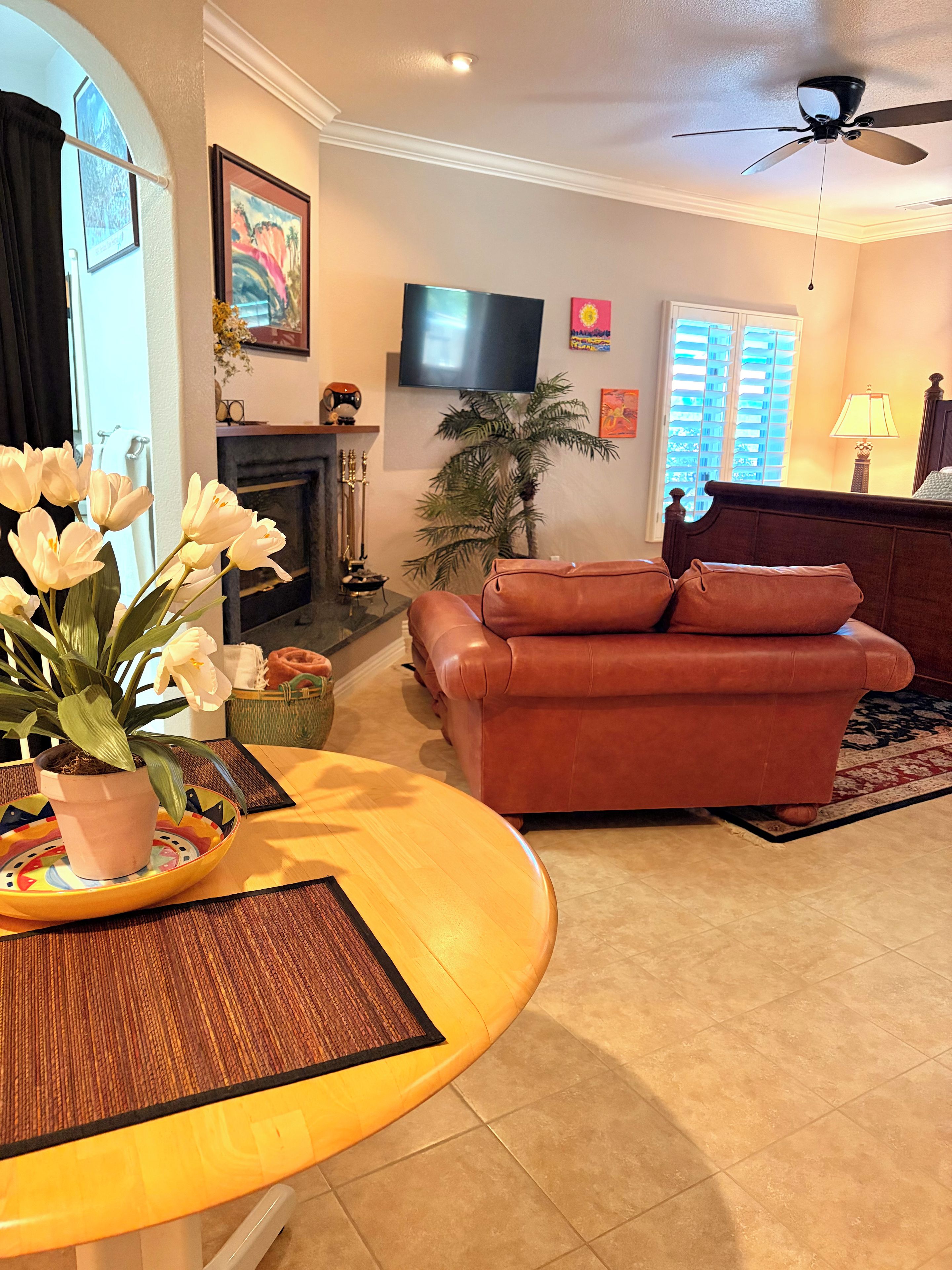 A living room with a leather sofa, a flat-screen TV mounted on the wall, a fireplace, and a potted plant.