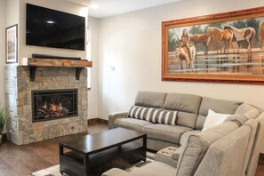 Televisión, chimenea, reproductor de DVD y libros 