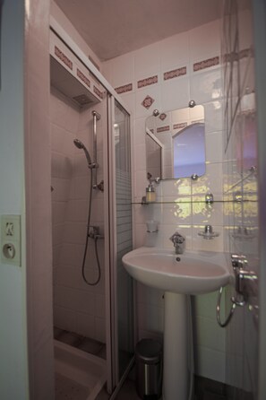 Shower, hair dryer, bidet