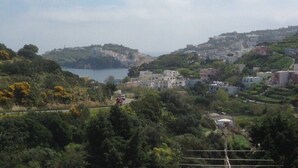 Une ville côtière avec des bâtiments construits sur une colline, une route et une étendue d’eau visible au loin.