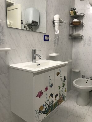 Shower, hair dryer, bidet, towels