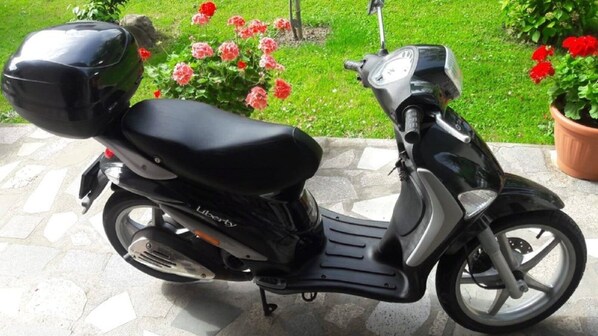 Een zwarte scooter geparkeerd op een verhard oppervlak, met een tuin en bloemen op de achtergrond.