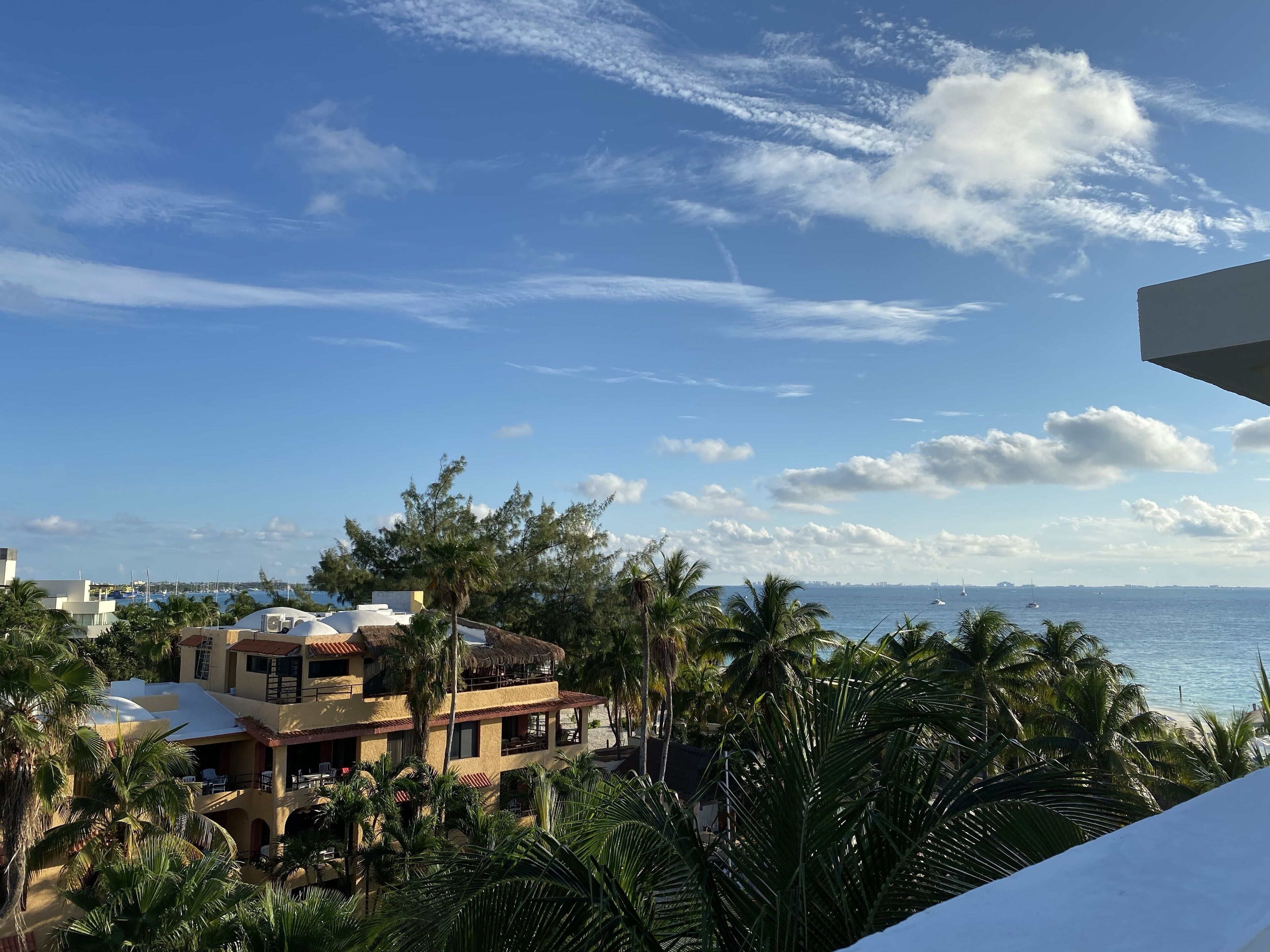 A coastal hotel with multiple balconies, palm trees, and a view of the sea.
