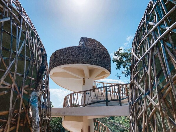 Property grounds - KAN Eco-Wellness tree house jungle view! # 4 (Tulum)