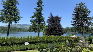 A serene lakeside view with tall trees and a sign labeled "DIRECTY". - Lake Nahwatzel Resort, Cabin #1, Shared Dock just steps away! Now with WIFI! (Shelton)