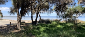 Skylight Retreat Falcon