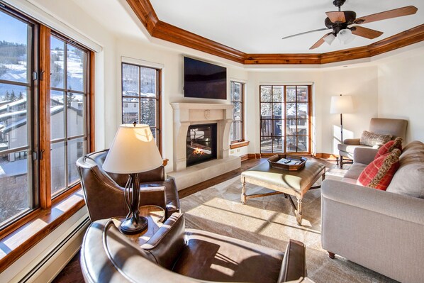 Smart TV, fireplace, DVD player, books