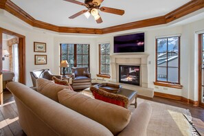 Smart TV, fireplace, DVD player, books