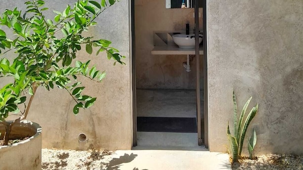 Un estrecho acceso a un baño con lavamanos y espejo, rodeado de follaje y una pared de hormigón.