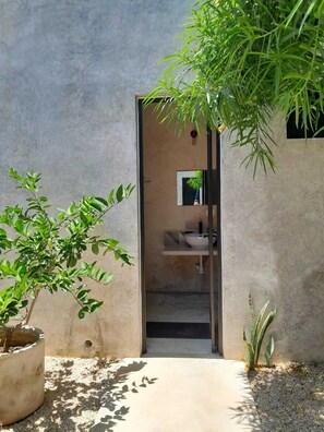 A narrow entrance to a bathroom with a sink and mirror, surrounded by greenery and a concrete wall.
