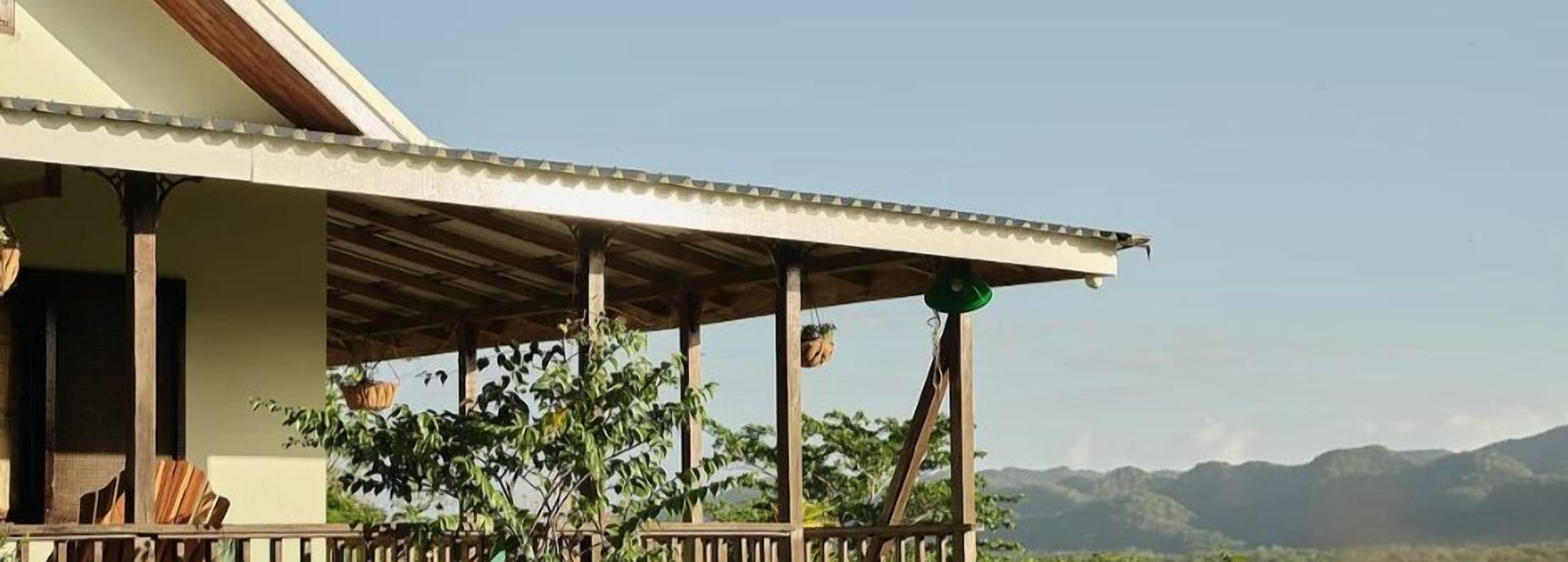A covered outdoor area with a wooden deck, hanging plants, and a view of distant mountains.