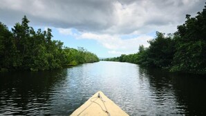 Un río flanqueado por una vegetación densa, visto desde una canoa.