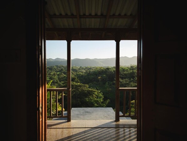 Vista desde la propiedad