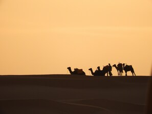 Interior - Sleep In Luxury Tent In Desert ! (Merzouga)