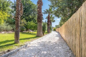 Un sendero bordeado por palmeras y una valla de madera.