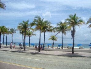 A beach with palm trees, umbrellas, and people.