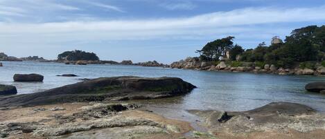 بالقرب من الشاطئ