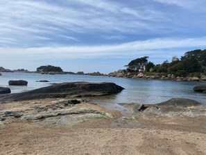 A coastal landscape with rocky shores, calm water, and a distant tree-covered hill.
