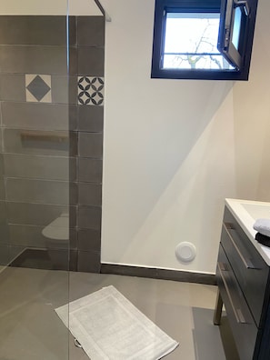 Shower, hair dryer, towels