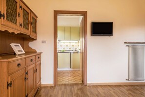 Une pièce avec un meuble en bois, un téléviseur à écran plat et un radiateur.