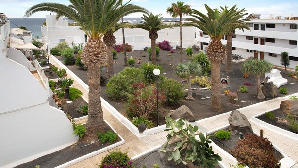 Un jardín en la azotea con palmeras, diversas plantas y un edificio blanco al fondo.