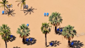 Vista aérea de una playa con palmeras y sillones azules.