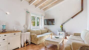 Télévision, cheminée