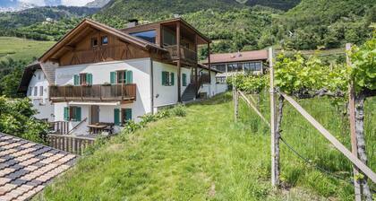 Ferienwohnung "Golserhof" mit WLAN, Terrasse & Bergblick