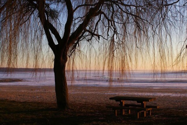 In StrandnĂ€he, LiegestĂŒhle