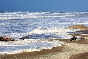 Beach - Comfortable Retreat by the Sea (Berck-Sur-Mer)